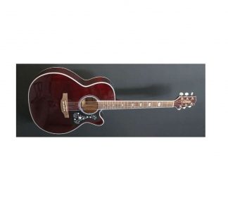 Takamine GN75CE Wine Red