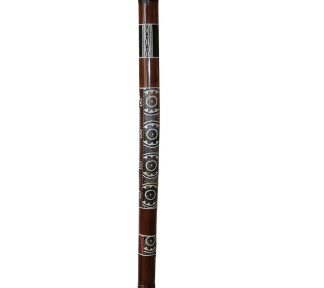 TANGA DD02H-3 DIDGERIDOO