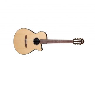 Ibanez - AEG50N-NT