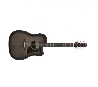 Ibanez AAD50CE-TCB